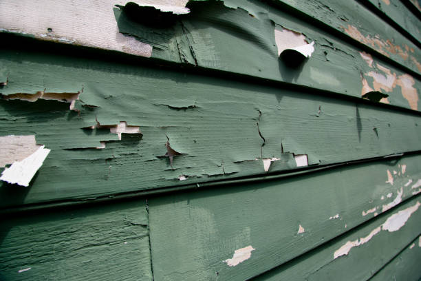 Same-Day Junk Removal Services in Dillonvale, OH